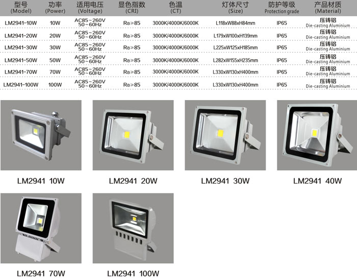 LED投光燈 LM2941 20W 規(guī)格說明